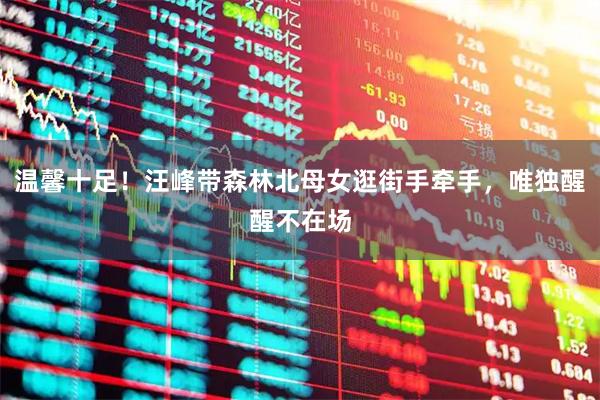 温馨十足！汪峰带森林北母女逛街手牵手，唯独醒醒不在场