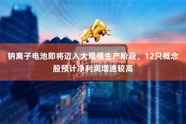 钠离子电池即将迈入大规模生产阶段，12只概念股预计净利润增速较高