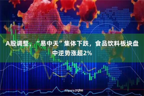 A股调整，“易中天”集体下跌，食品饮料板块盘中逆势涨超2%